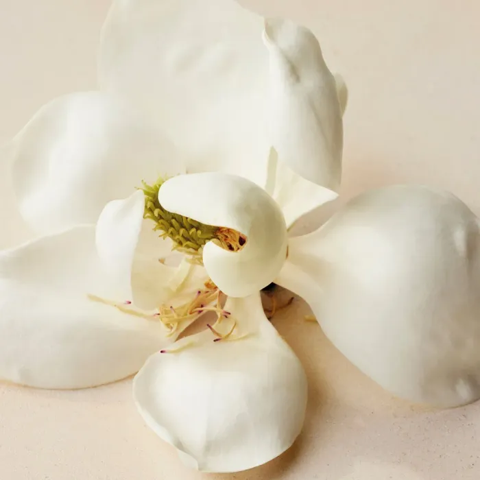 Magnolia Alba Perfumed Shower Gel