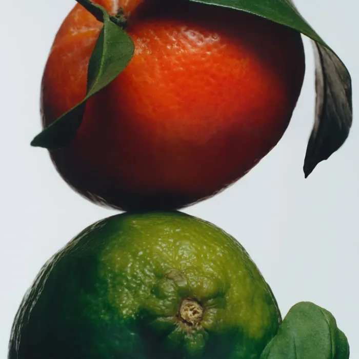 Lime Basil & Mandarin Conditioner